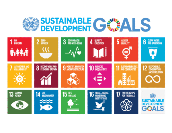 SDG Goal - Minus Degre